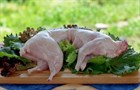 Кролики - это не только ценный мех Кролики - это не только ценный мех