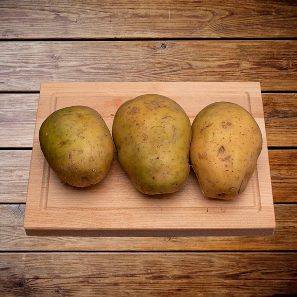 Картофель свежий - фото 8781