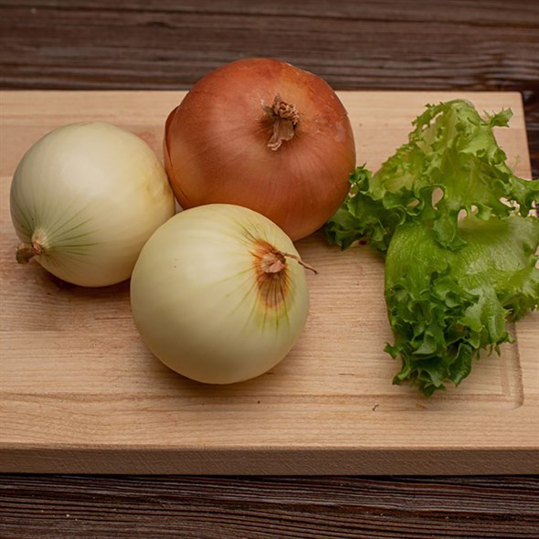 Лук репчатый - фото 8782