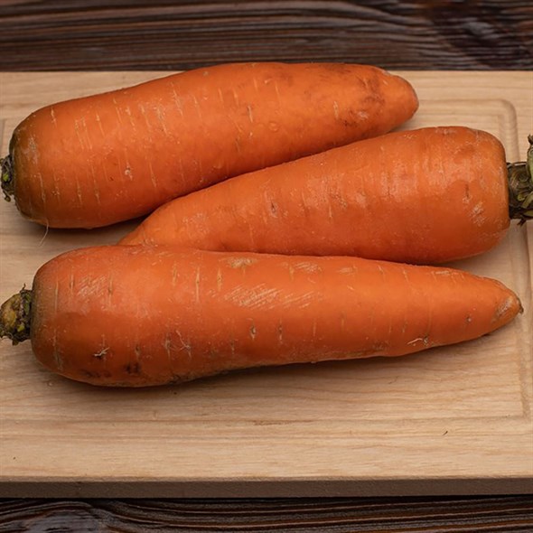 Морковь - фото 8783