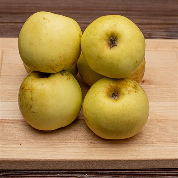 Яблоки Антоновка (кислый вкус) - фото 8786