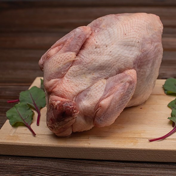 Петушок (вес ~1000гр) - фото 8800