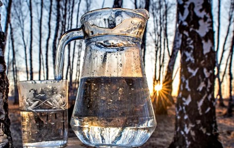 Березовый сок натуральный, свежесобранный