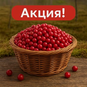 Клюква болотная в стеклянной банке