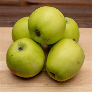 Яблоки  Северный синап (кисло-сладкий вкус)