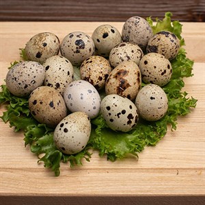 Яйцо перепелиное (20 штук в уп)