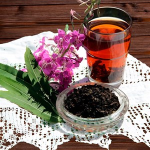 Иван-чай (кипрей)