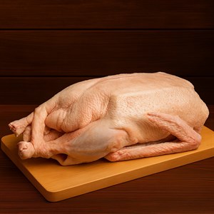 Гусь домашний (вес ~4 кг)